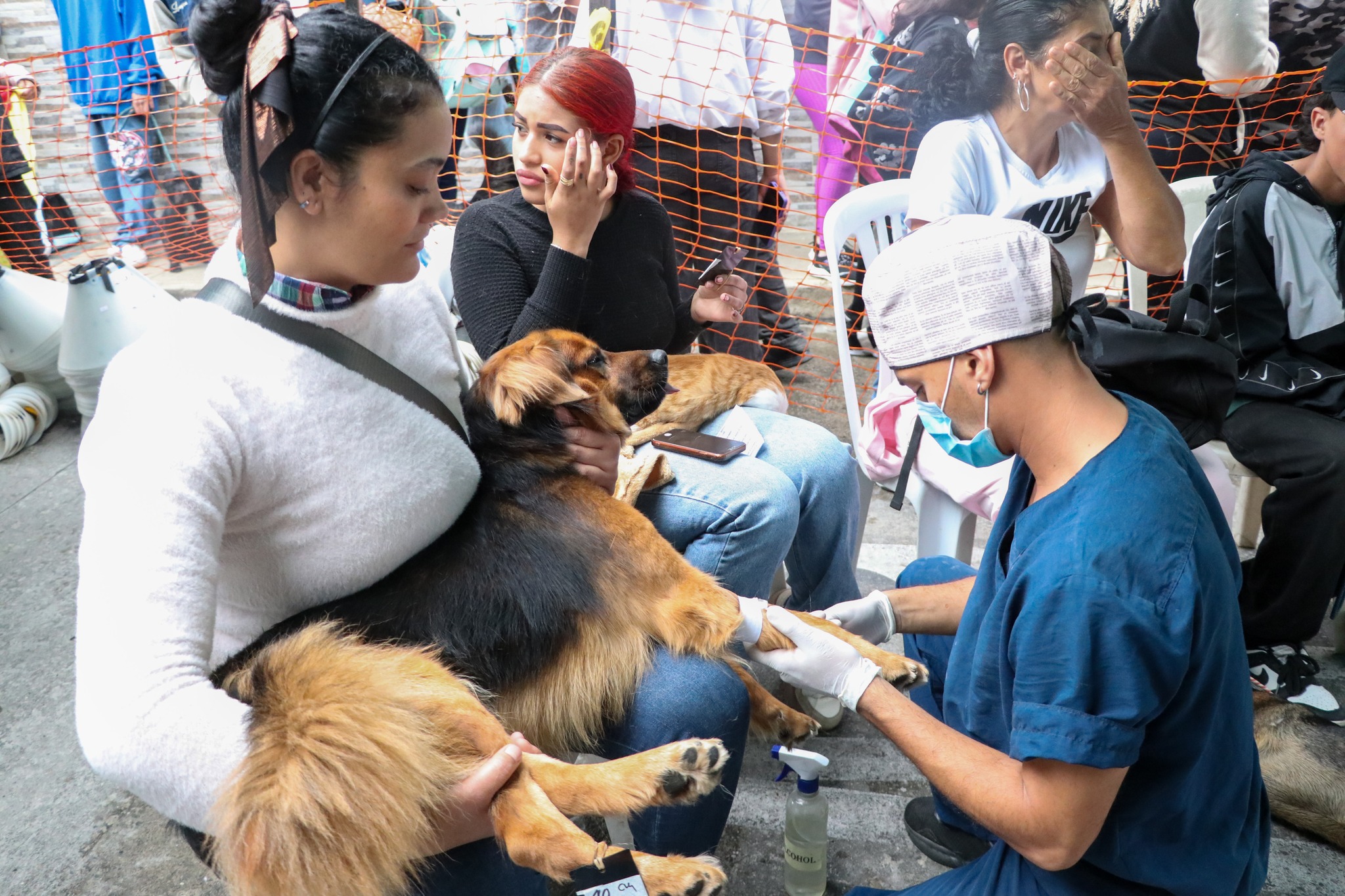 Imagen destacada de 🐾❤️ Bienestar Animal: Un compromiso que se siente en cada vida cuidada