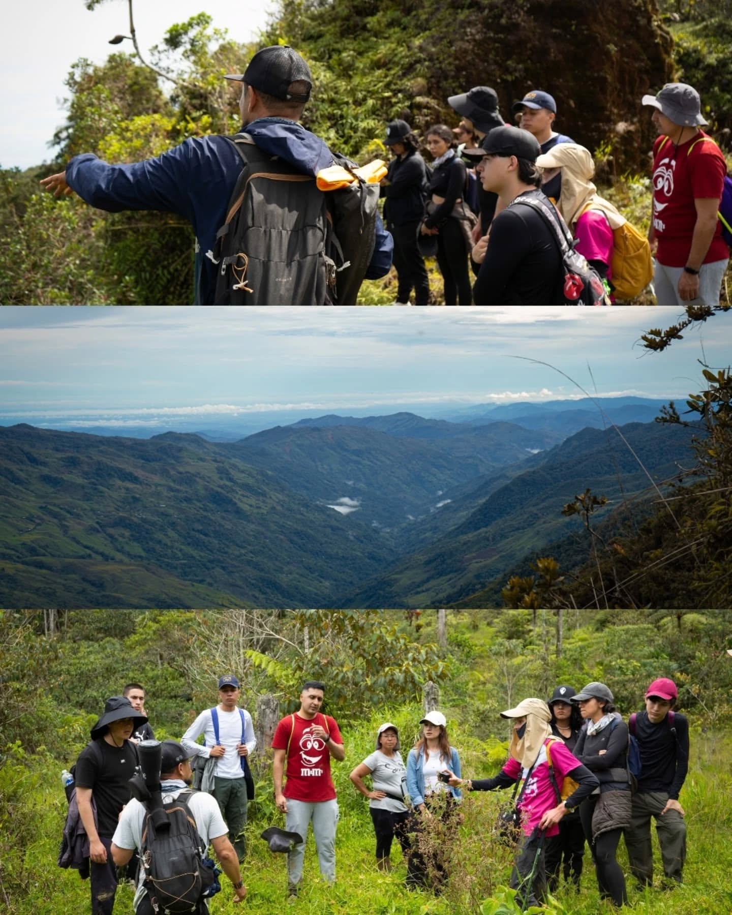 Imagen destacada de 🌿 Un encuentro con la vida: Yarumal fortalece su compromiso ambiental en la Reserva Natural Los Magnolios