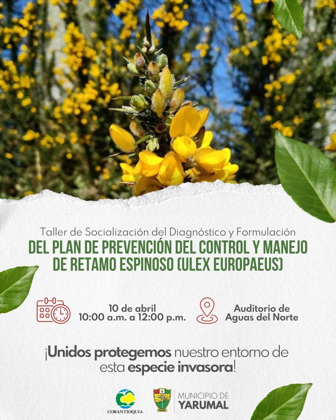 Imagen del evento Taller de socialización del Plan de Prevención, Control y Manejo del retamo espinoso 