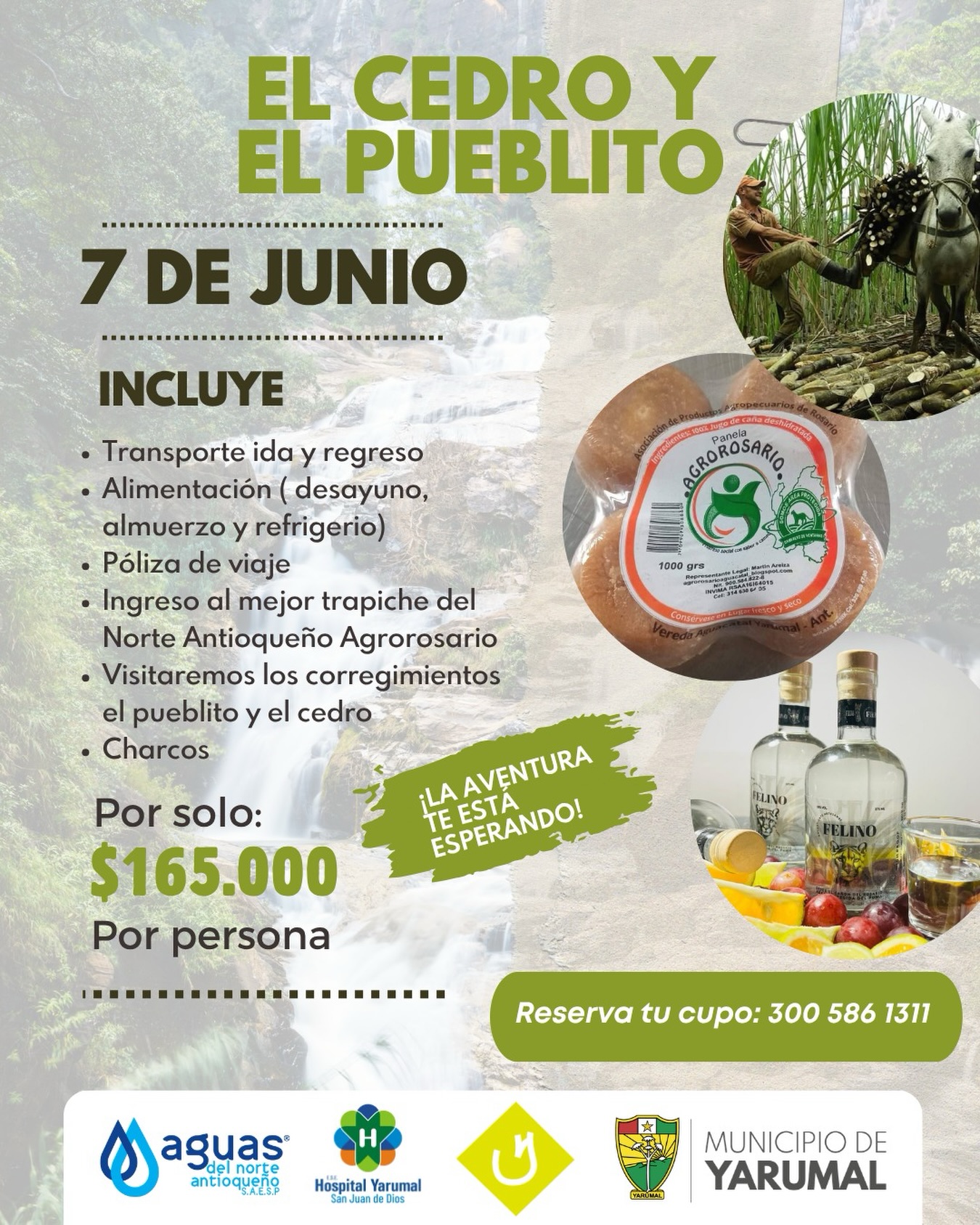 Imagen destacada de 🌿✨ ¡Sal de la rutina y descubre la magia de nuestros corregimientos! El Cedro y El Pueblito te esperan 💚🏞️