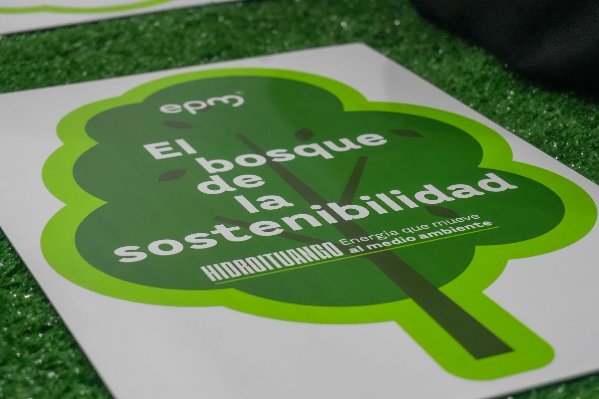 Imagen destacada de 🌍💚 ¡Sembrando conciencia desde la infancia! La Escuela Pedro Pablo Betancur celebra la Semana del Medio Ambiente 🌱✨