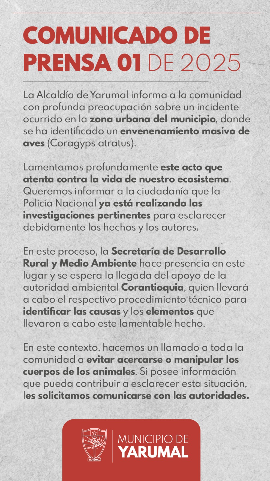 Comunicado de prensa 01 del 2025 